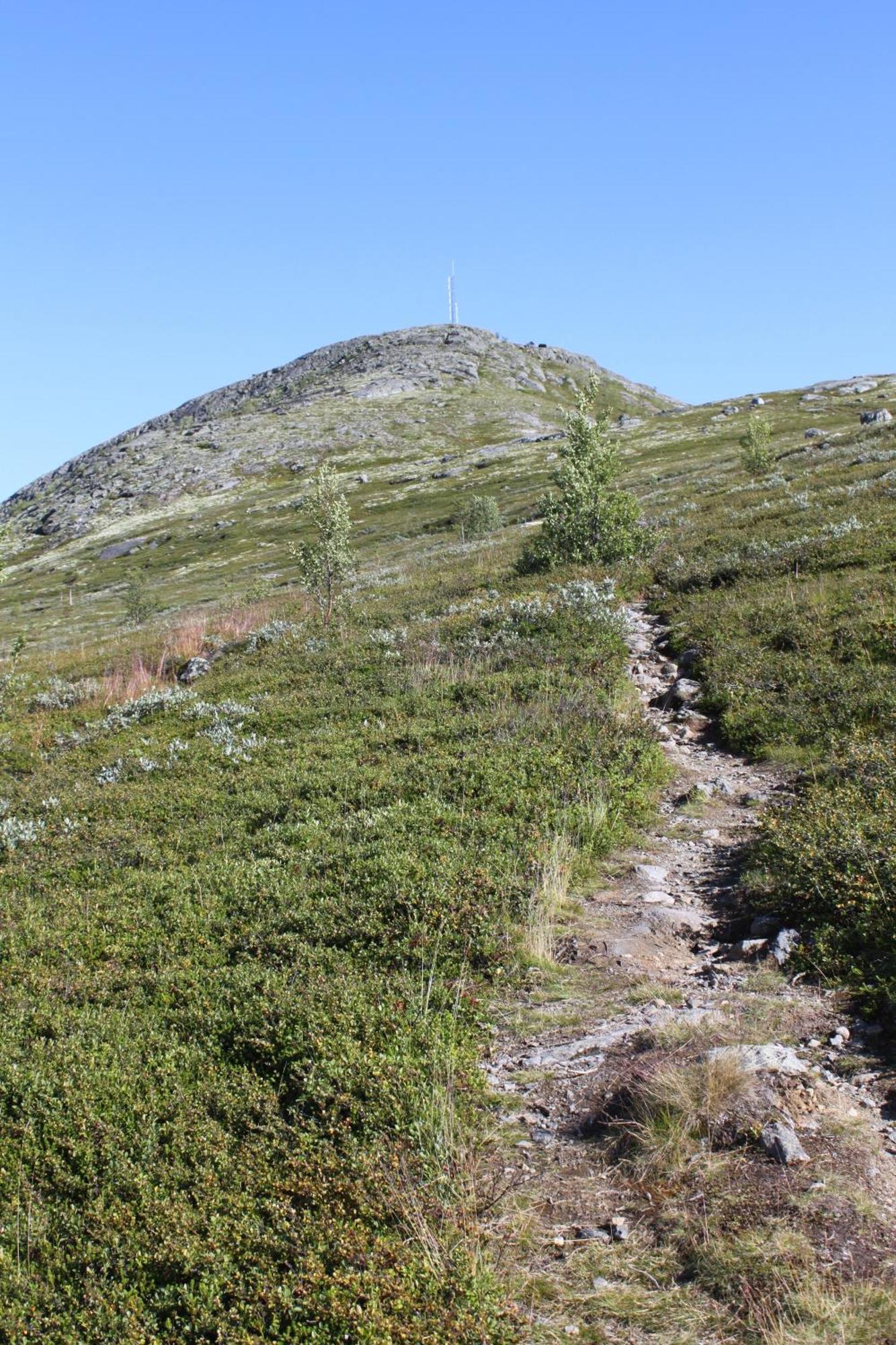Jotunheimen Feriesenter Villa Heidal Eksteriør billede
